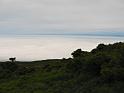 IMG_1855