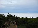 IMG_1858