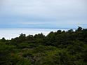 IMG_1860