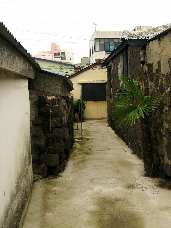 IMG_1683.jpg - JEJU - city
