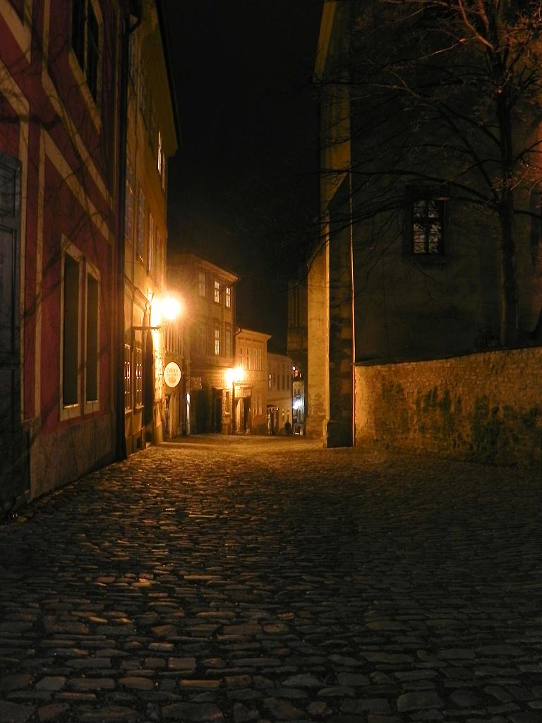DSCN5030.jpg