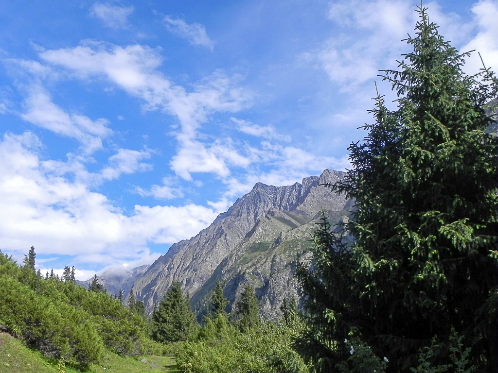 DSCN0294.jpg