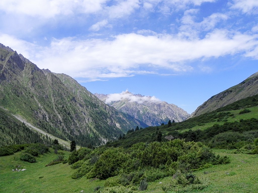 DSCN0357.jpg