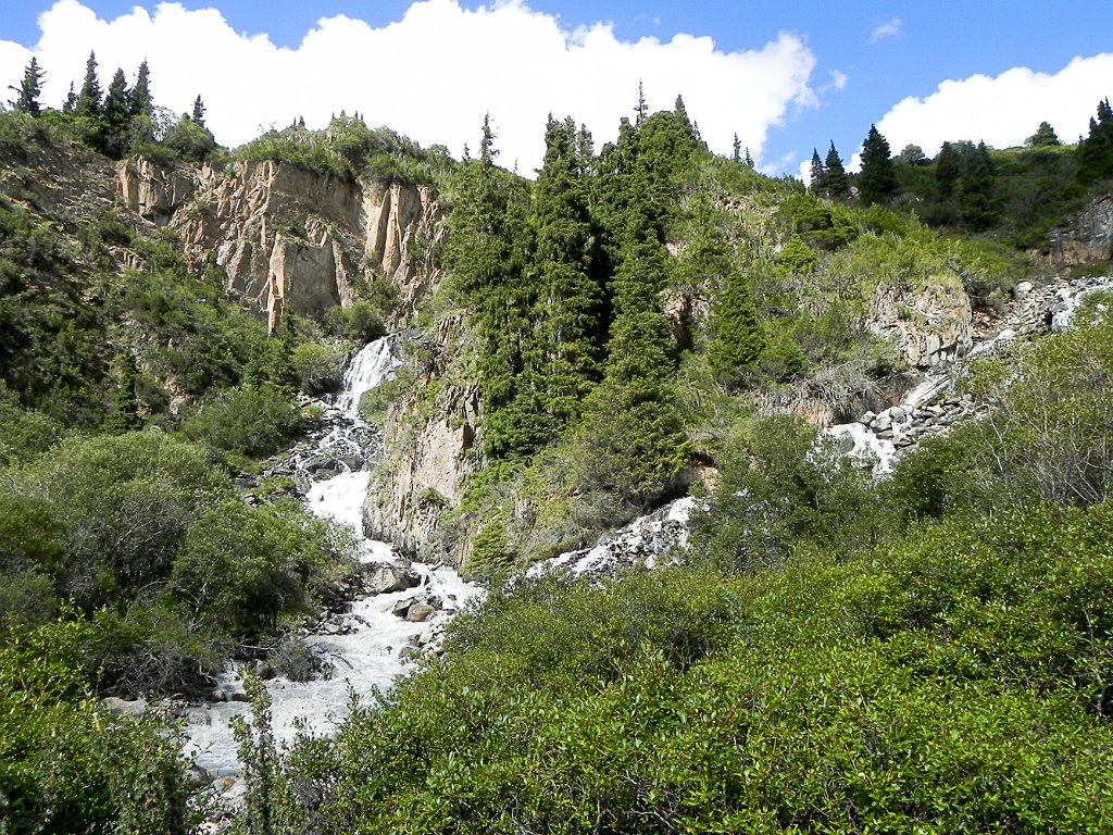 DSCN0399.jpg
