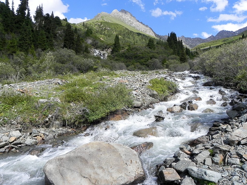 DSCN0407.jpg