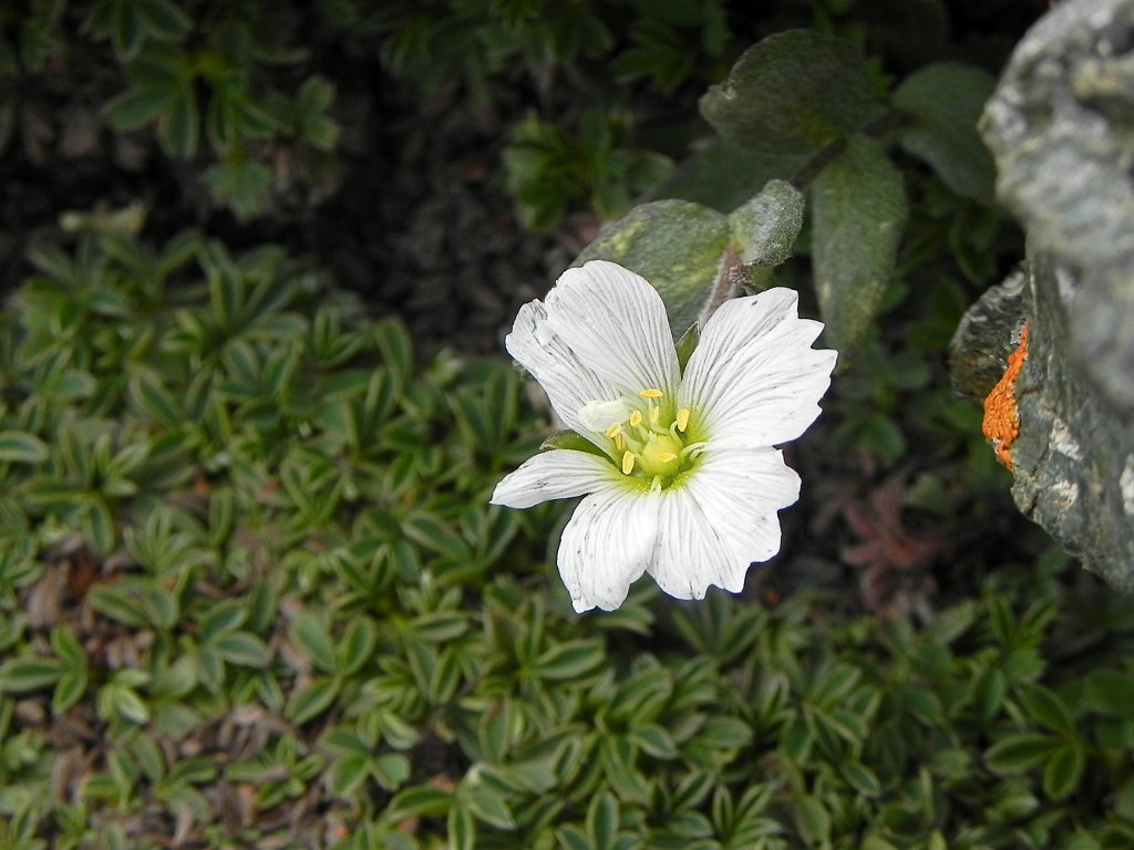 DSCN0485.jpg