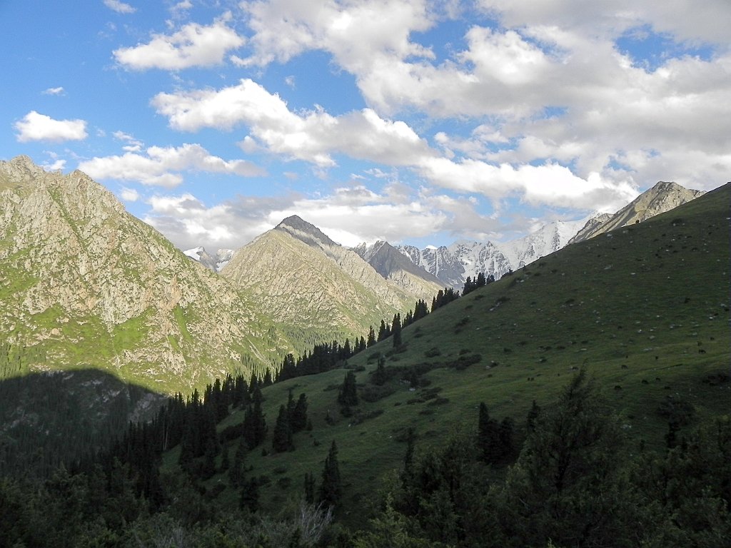 DSCN0515.jpg