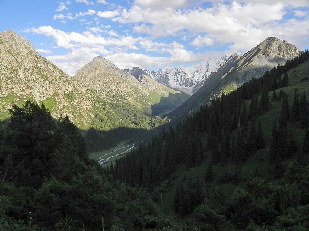 DSCN0517.jpg