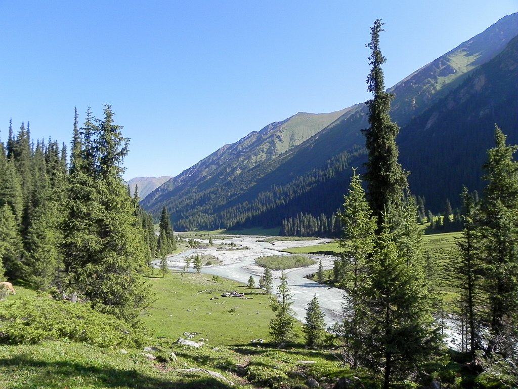 DSCN0528.jpg