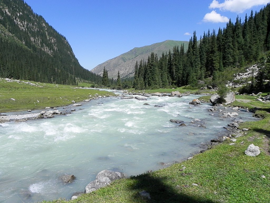 DSCN0563.jpg
