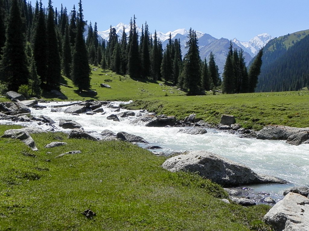 DSCN0575.jpg
