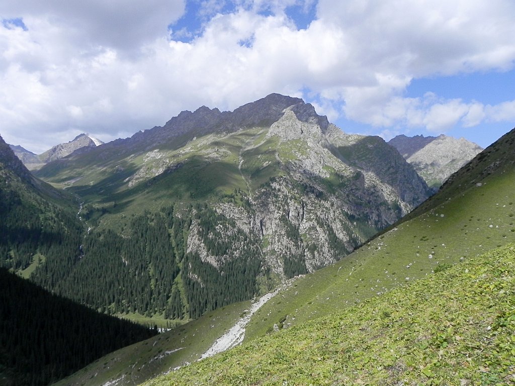 DSCN0735.jpg