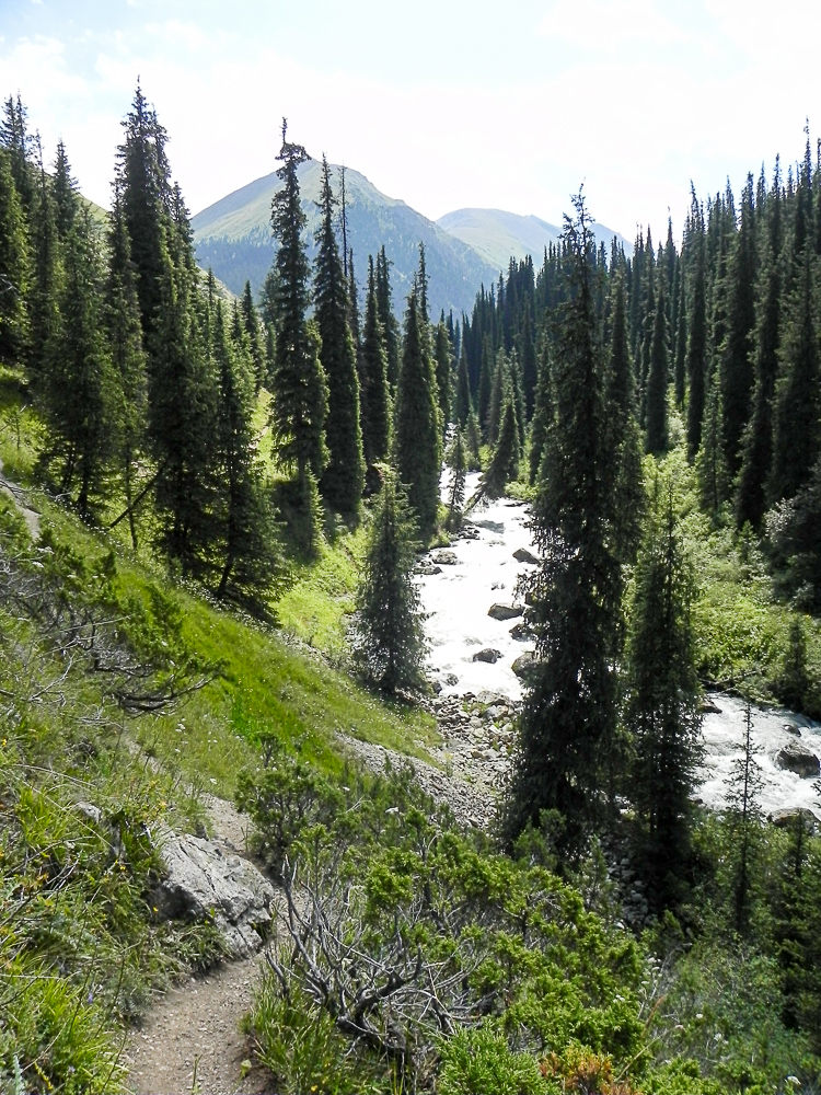 DSCN0974.jpg