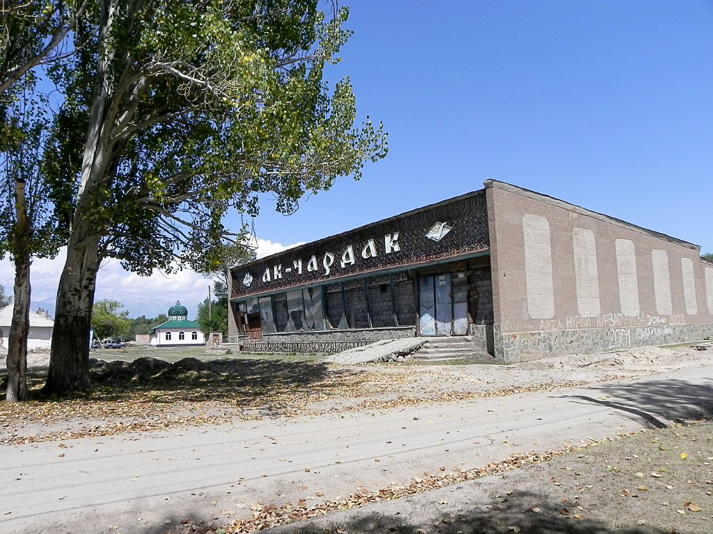 DSCN1003.jpg