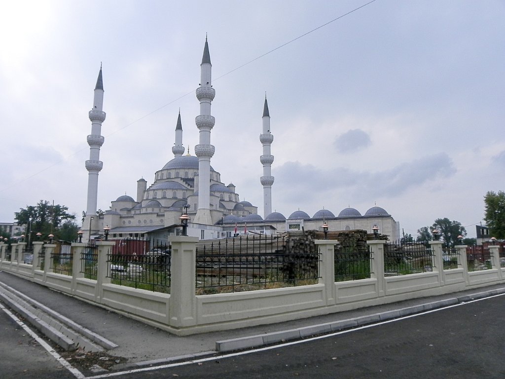 DSCN1076.jpg
