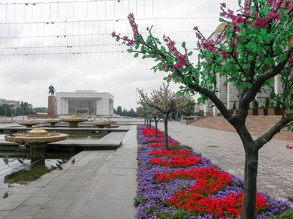 DSCN1081.jpg