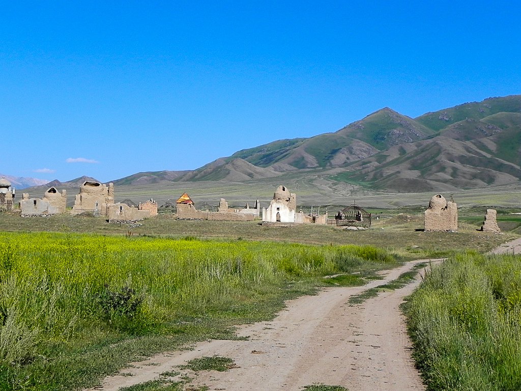 DSCN9865.jpg