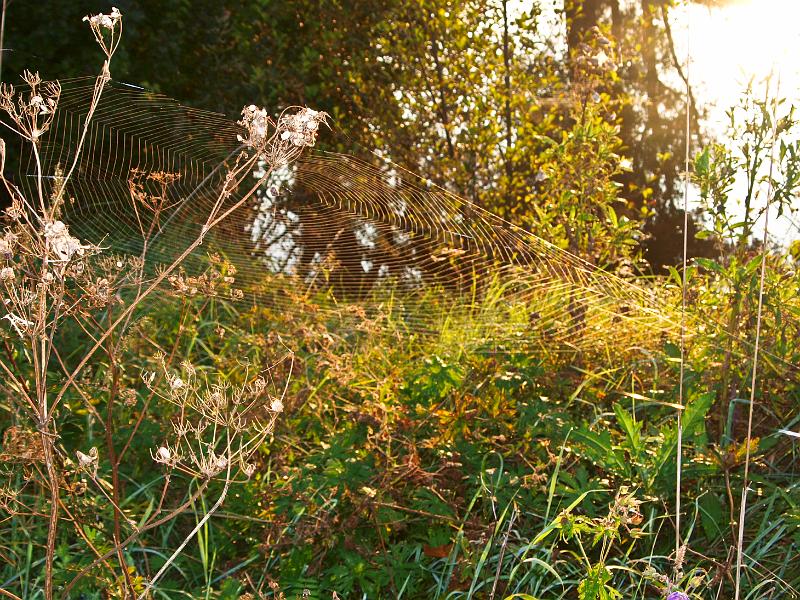 P9147814.jpg - OLYMPUS DIGITAL CAMERA