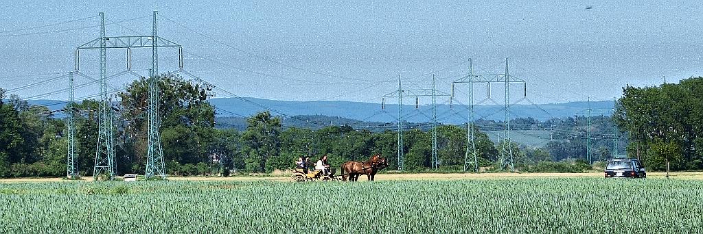 P51918441.jpg
