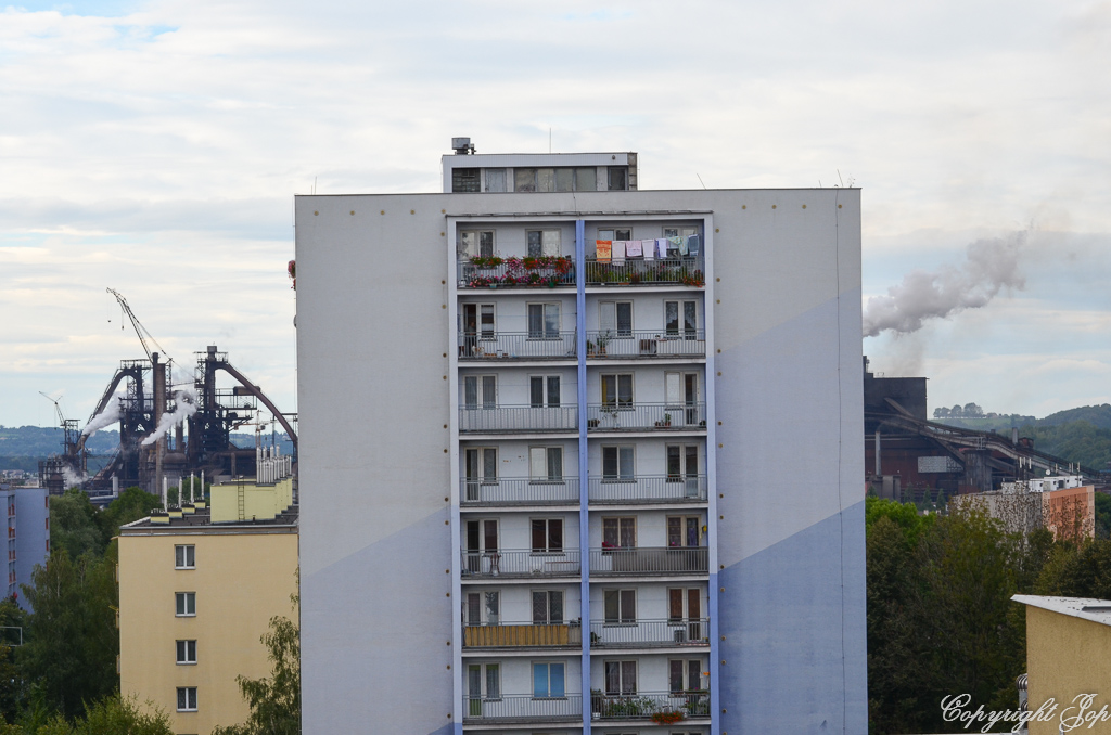 DSC_0049.jpg