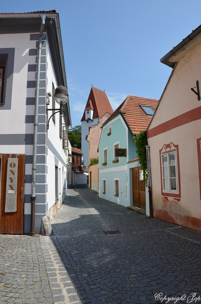 DSC_0205.jpg