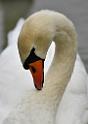 _SAM9285