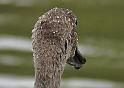 _SAM9397