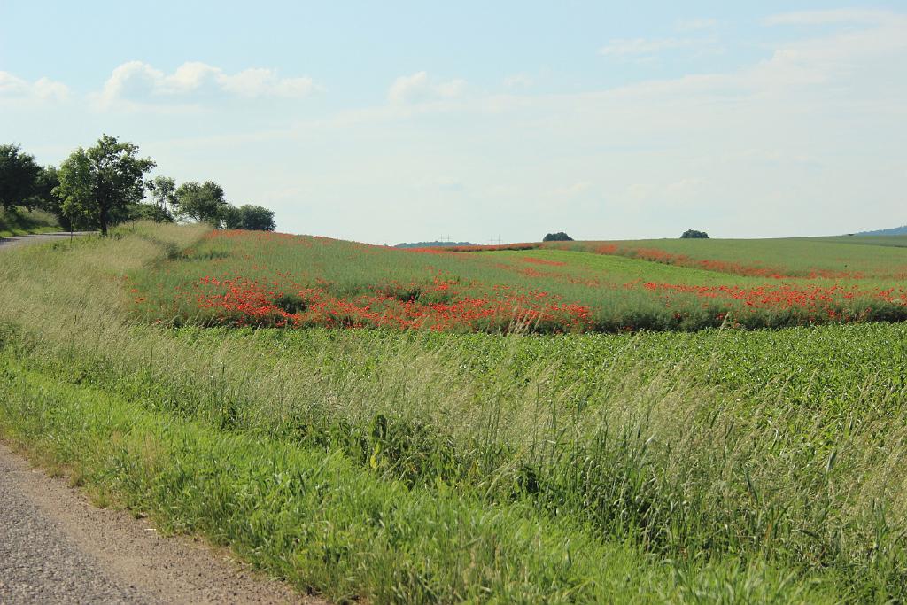 150614-03.JPG