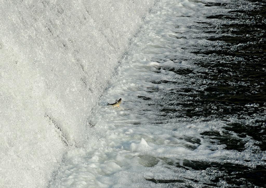 duben_1251_02.jpg - Bečva u Troubek