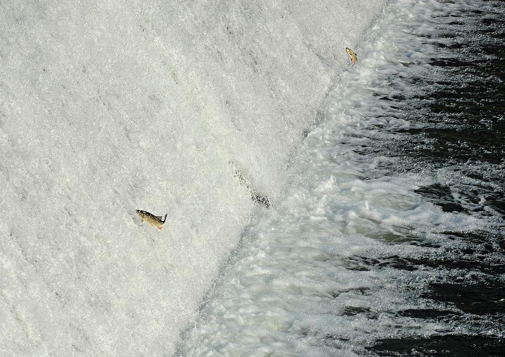 duben_1251_04.jpg - Bečva u Troubek