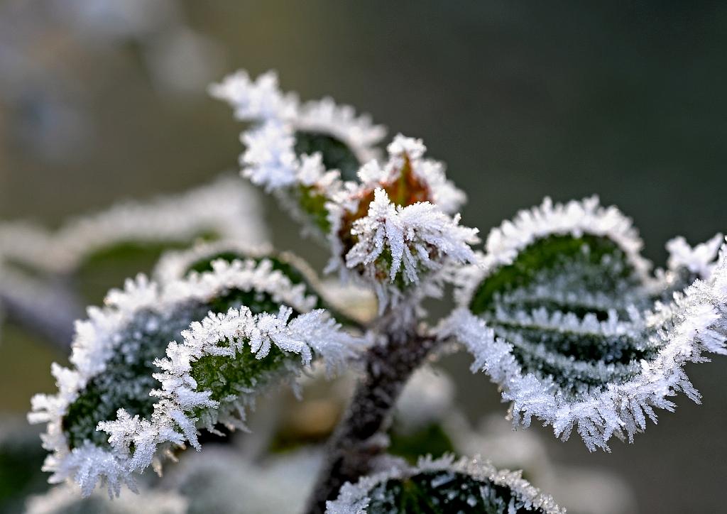 prosinec_027_01.jpg - Dub nad Moravou