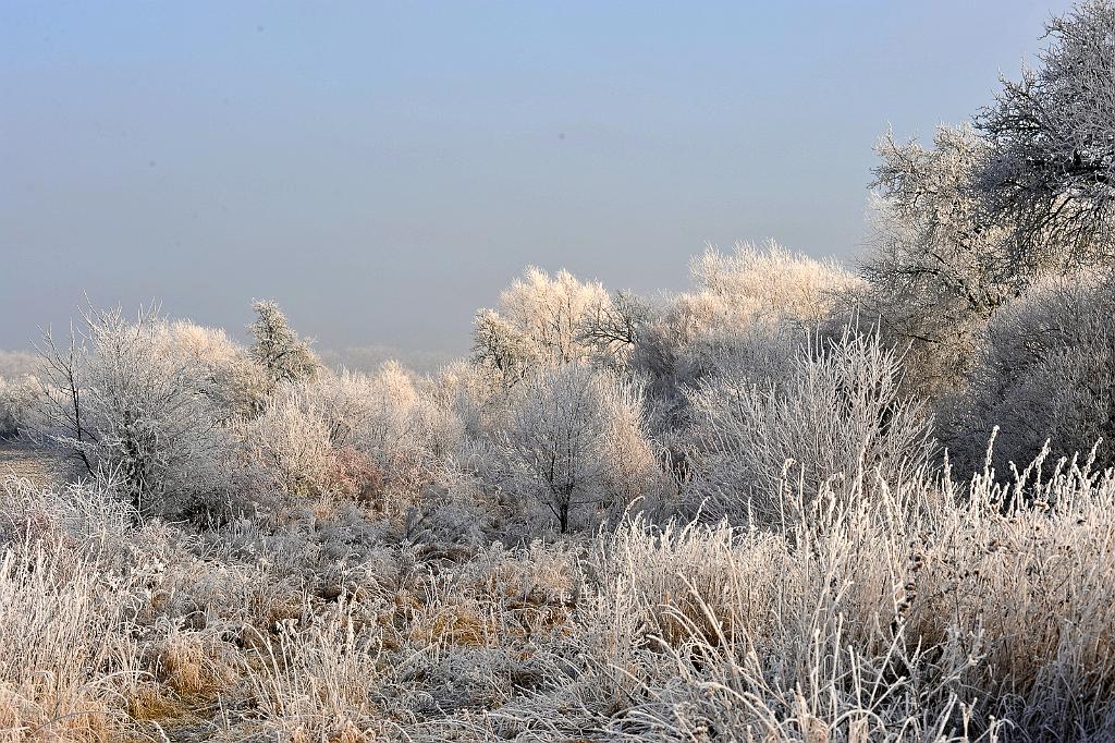 prosinec_027_14.jpg - Dub nad Moravou