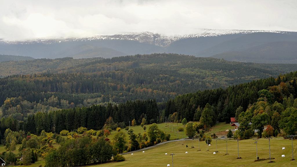 zari_009_09.jpg - Avalanche