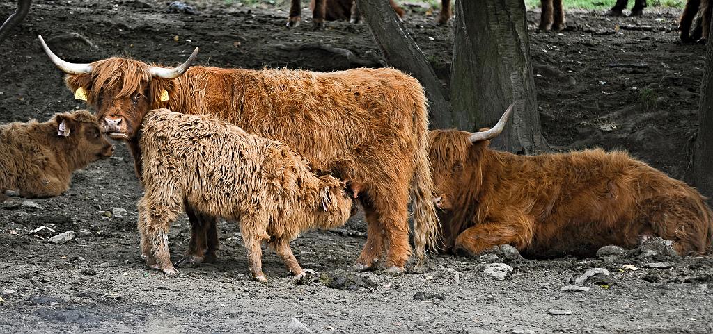 zari_010_03.jpg - Kružberk