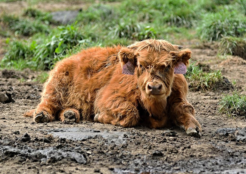 zari_010_06.jpg - Kružberk