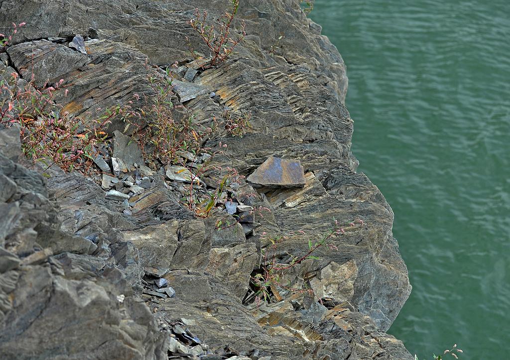 zari_010_22.jpg - Kružberk