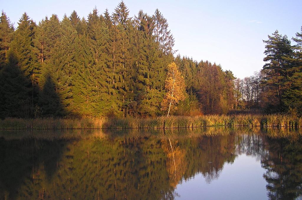 PB080013.JPG