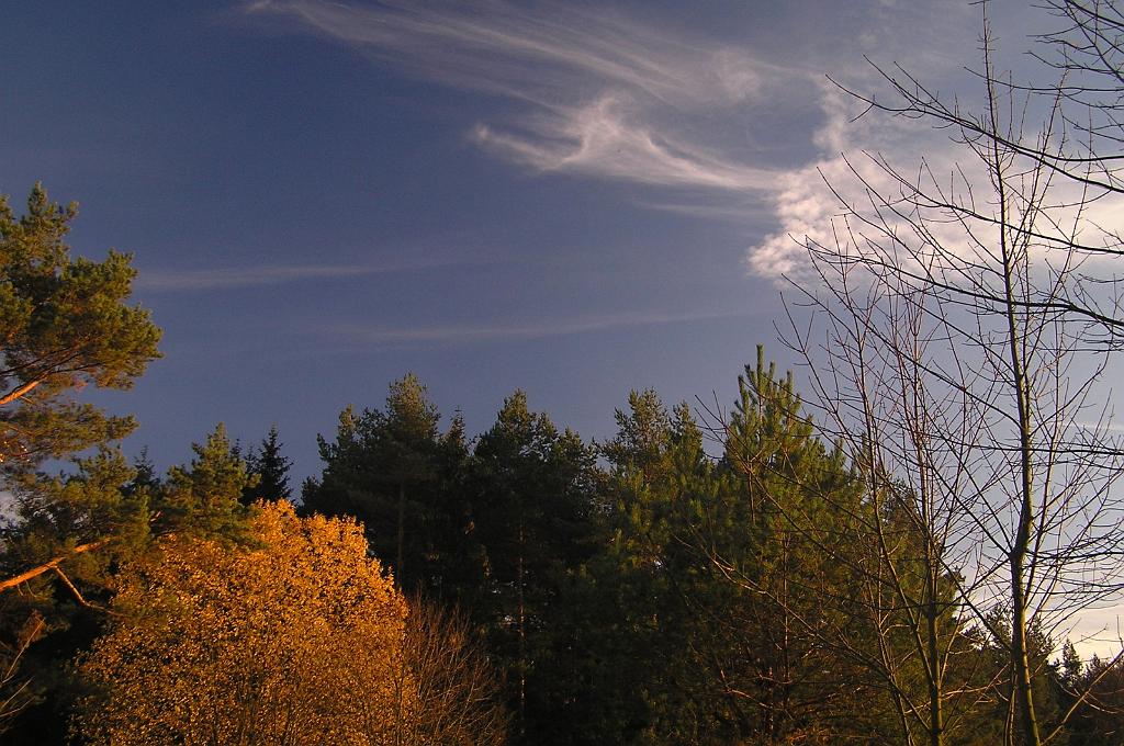 PB080018.JPG