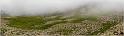 pan_tur_50