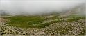 pan_tur_51