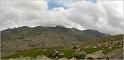 pan_tur_56