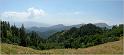 pan_tur_57