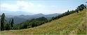 pan_tur_58
