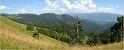 pan_tur_61