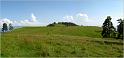 pan_tur_65