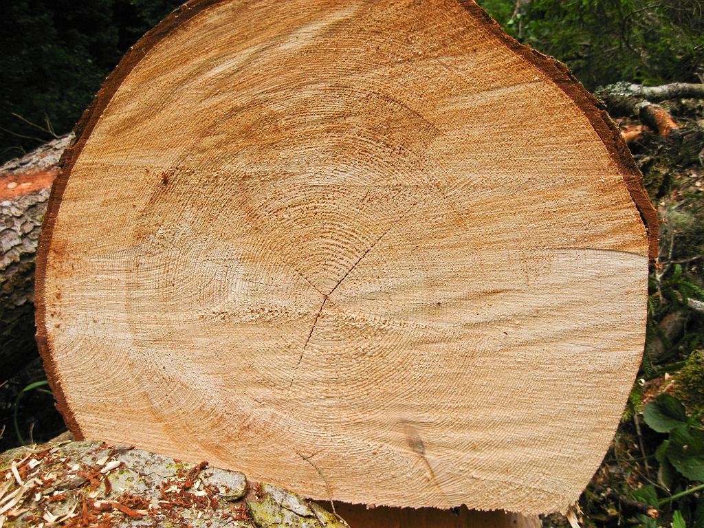 IMG_4151.jpg - NP Sümella Monastery