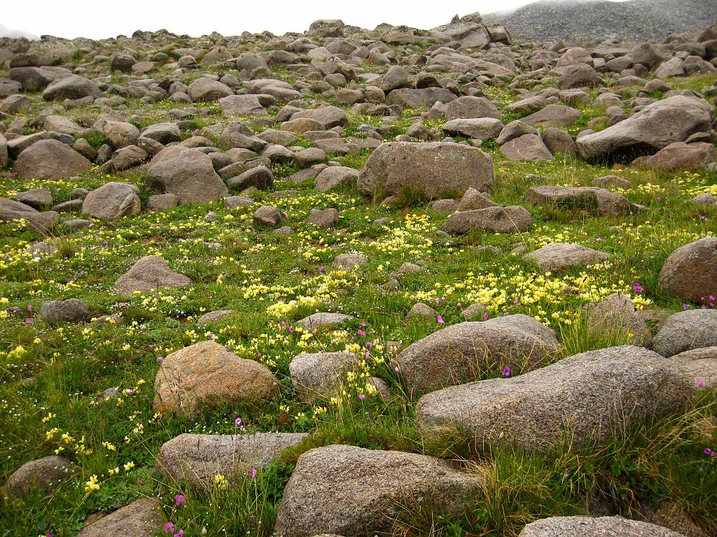 IMG_4362.jpg - NP Sümella Monastery