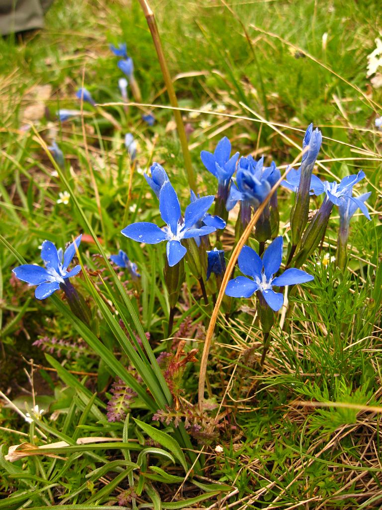 IMG_4425.jpg - NP Sümella Monastery