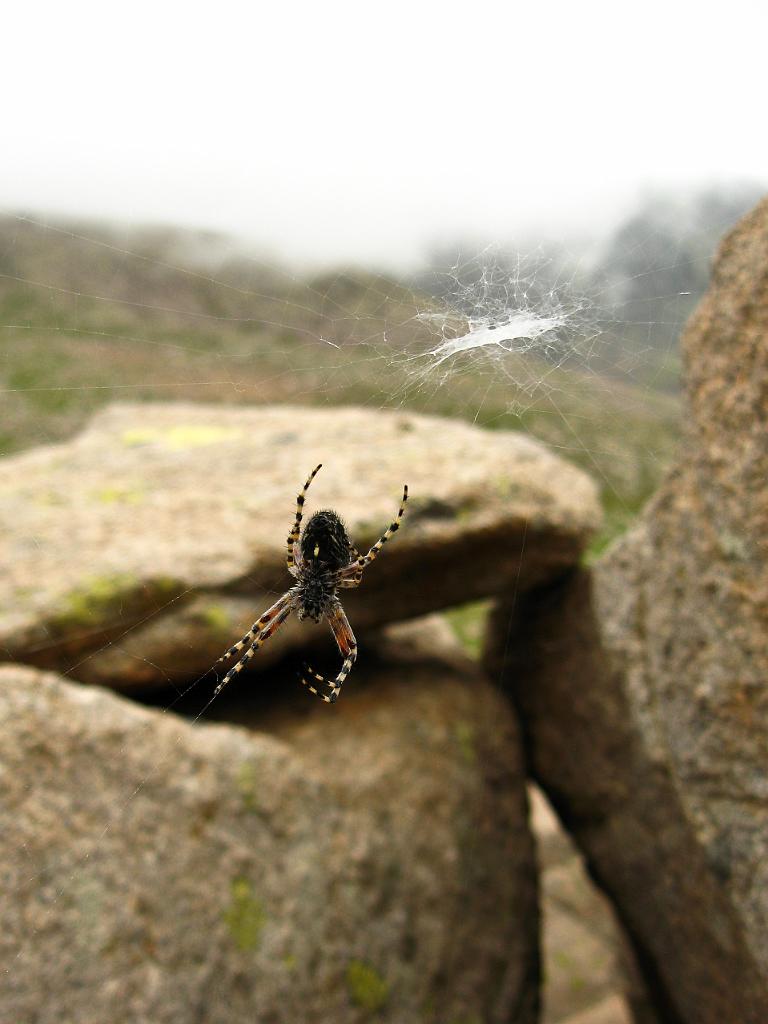 IMG_4476.jpg - NP Sümella Monastery