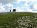 IMG_3541